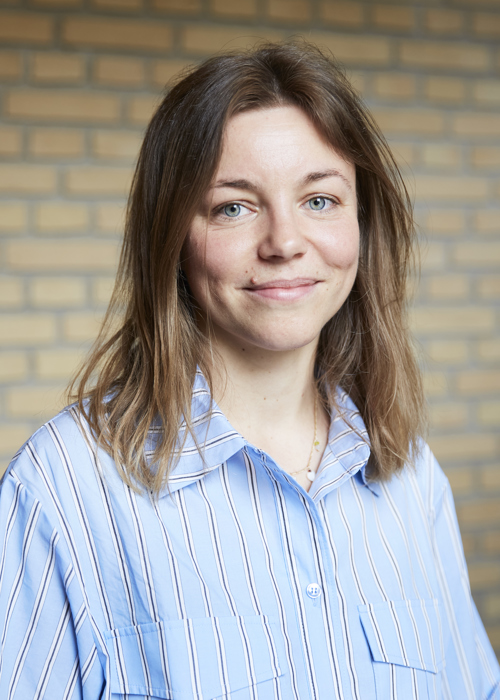 Anne Møller Hansen