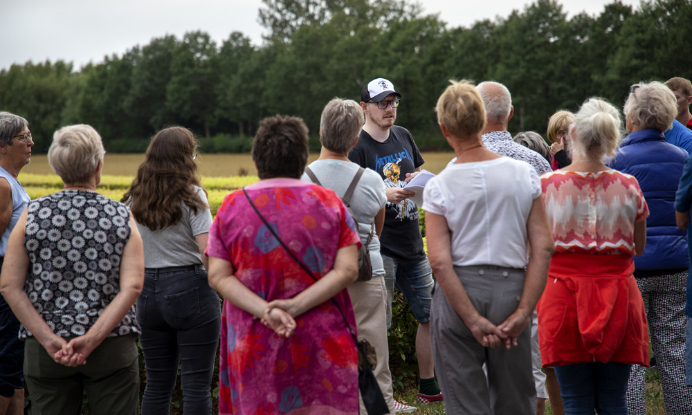 Cykeltur og byvandringer gennem Hernings historie