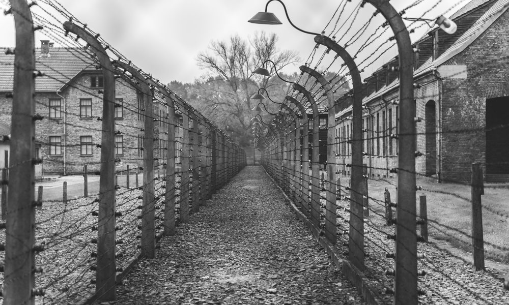 Vidnesbyrd om helvede på jord: Holocaustlitteratur