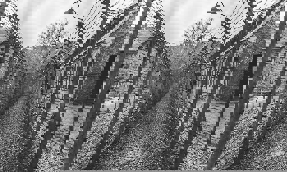 Vidnesbyrd om helvede på jord: Holocaustlitteratur