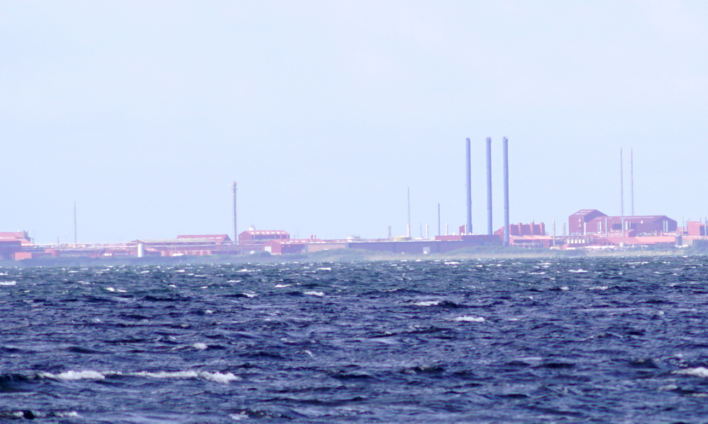 Retten til fortællingen: Forfatterfejder i nyeste tid