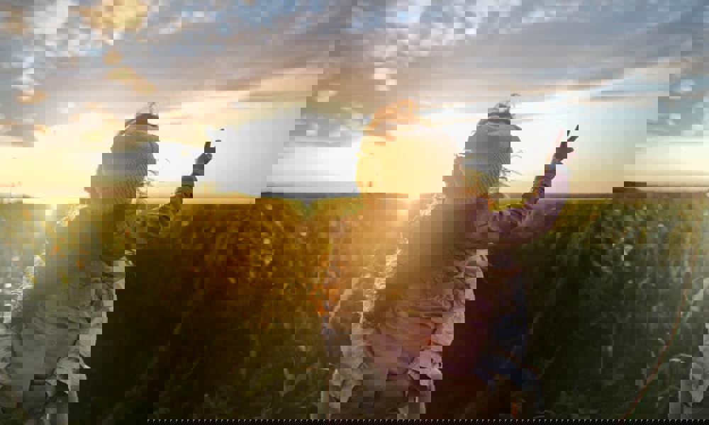 Størst af alt er trygheden