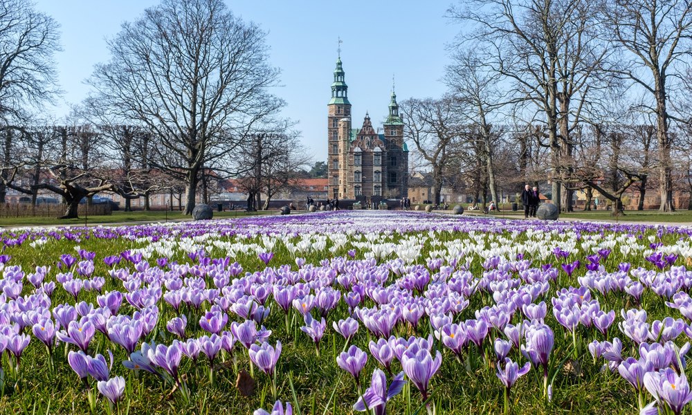 Byvandringer: Vilde planer for københavnernes by – fra Rosenborg til Frederiksstaden