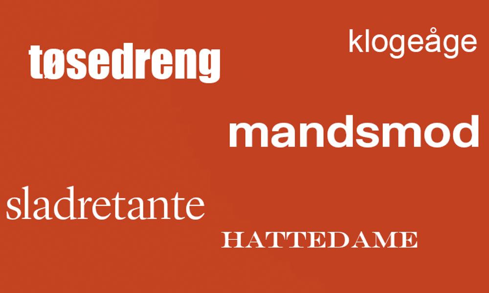 Konebil eller potensforlænger? Nedsættende ord, stereotyper og ligestilling i Den Danske Ordbog
