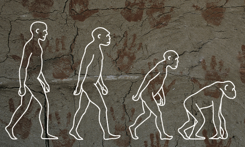 Historien – fra de første mennesker til de første civilisationer