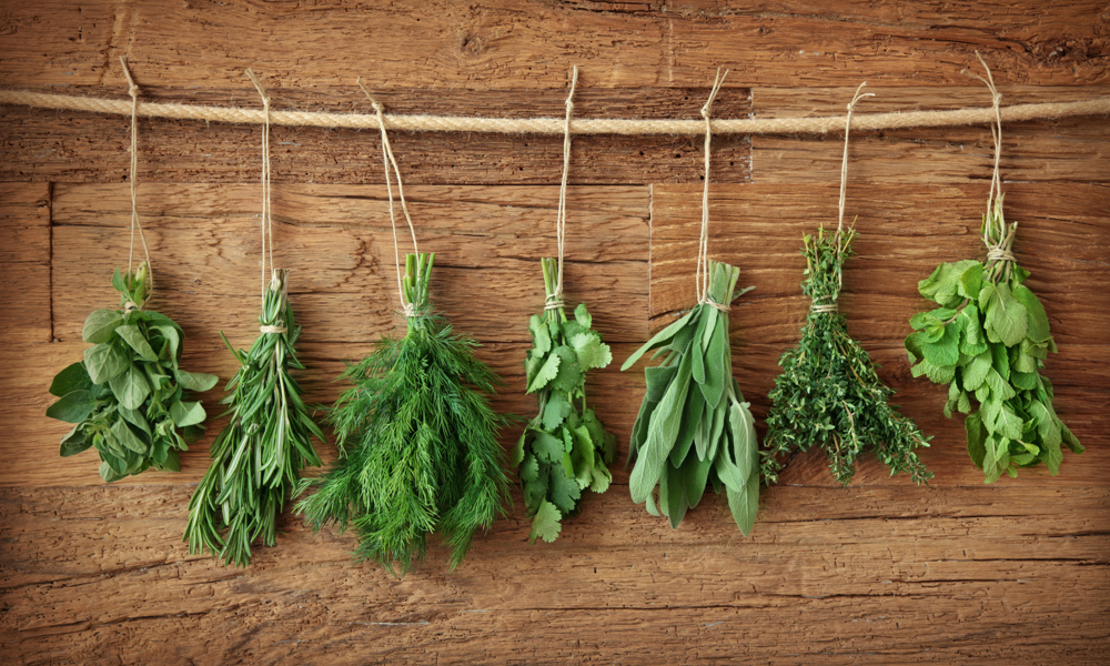 Videnskaben bag maden