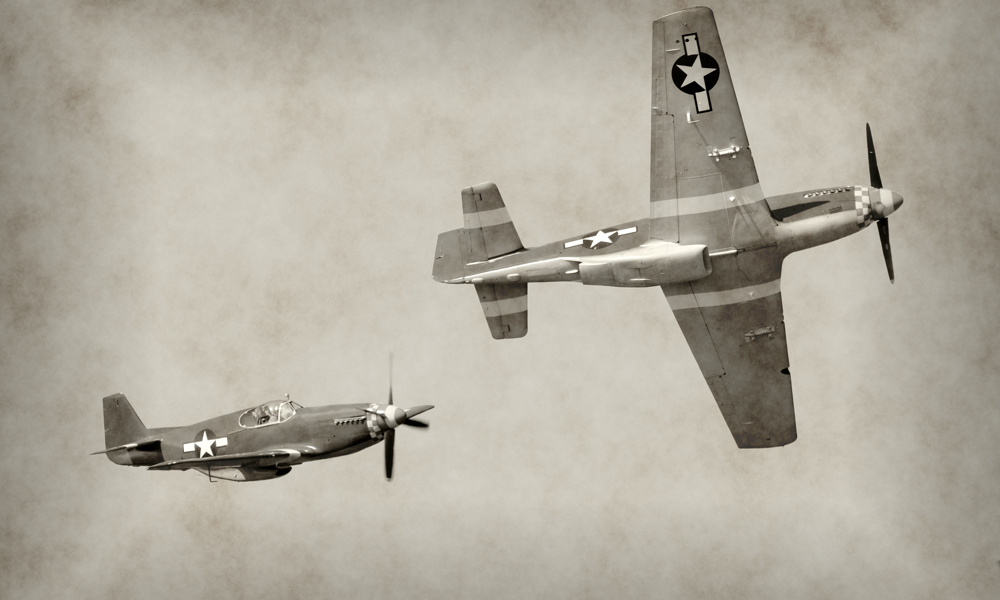 Birk - det danske es i Royal Air Force