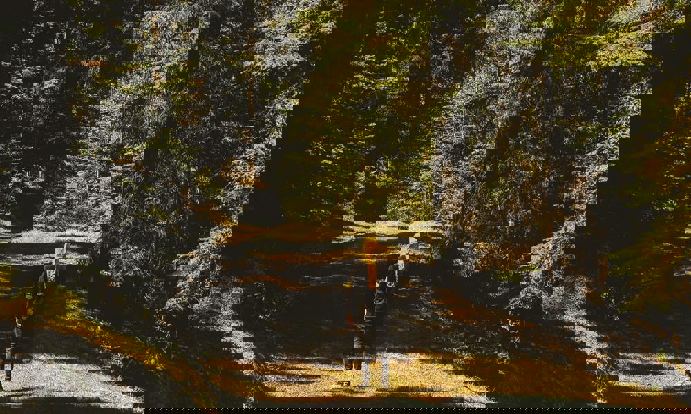 Kan du stole på din intuition og dømmekraft på job og i livet?