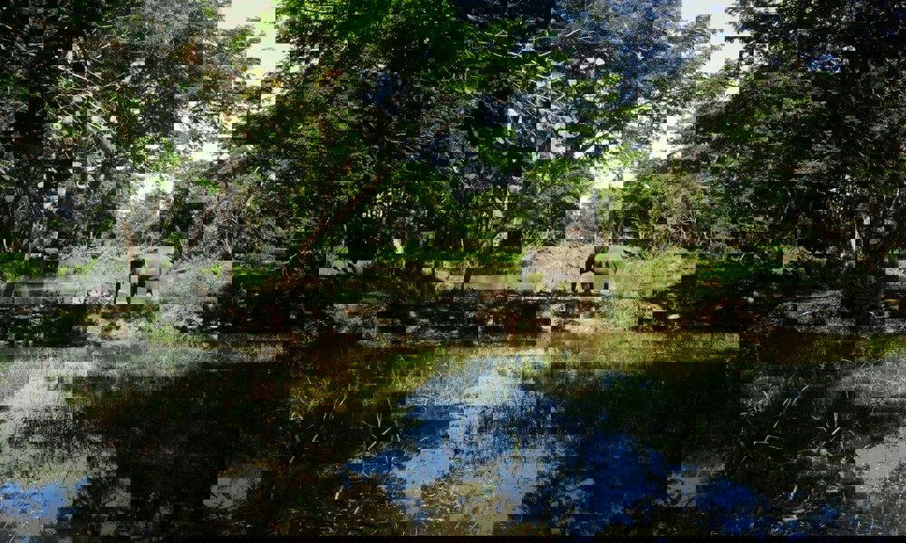 Fortidens fossiler – nøglen til fremtidens klima