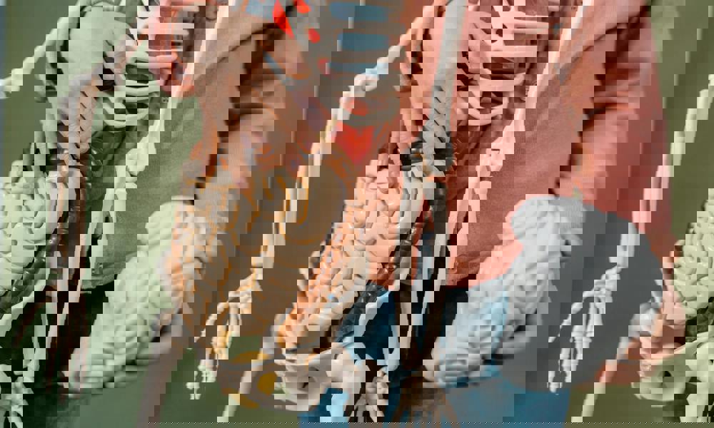 Den fantastiske krop – seks organer der holder dig kørende