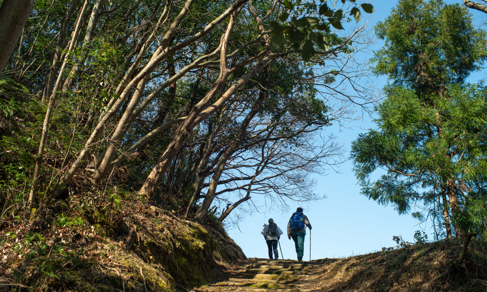 Shikoku 88: I fodsporene på Kobo Daishi og Murakami