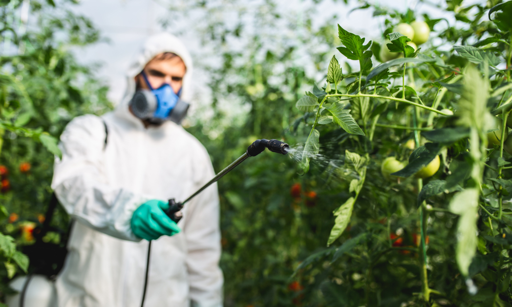 Du er giftig – og nogen vil skjule det