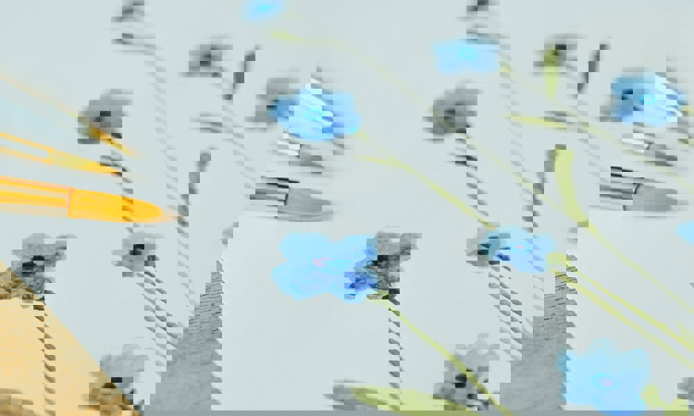 Tegn dig igennem Danmarks flora