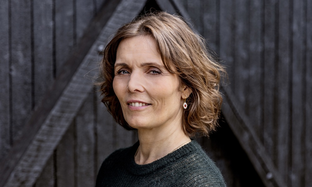 Forstå historien – med fire nyere danske romaner